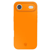 Pumpkin Spice Orange iPhone Case